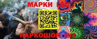 мдпв Камышлов