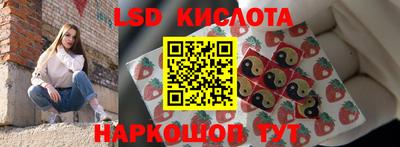 мдпв Камышлов