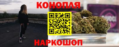 тгк Канаш