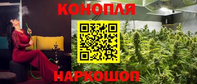 спайс Кандалакша