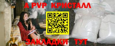 тгк Канаш