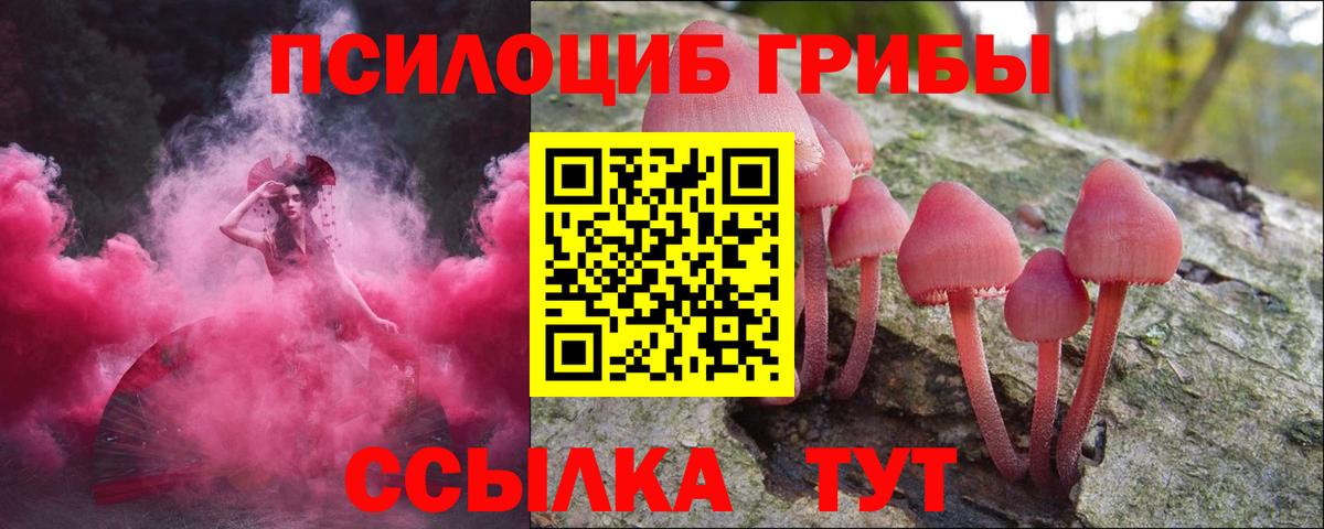 Псилоцибиновые грибы Magic Shrooms  Вход с VPN  Североморск  Галлюциногенные грибы Psilocybe 